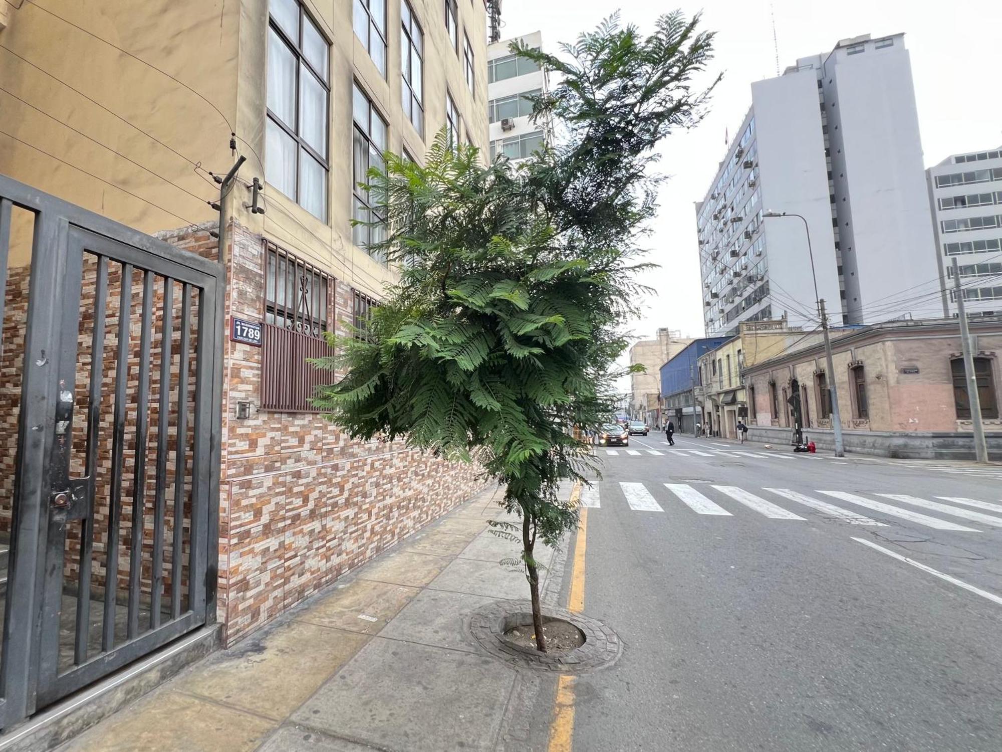 Downtown Lima Apt With May Promo Book & Save Big מראה חיצוני תמונה